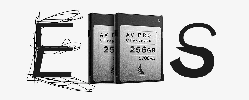 Karty pamięci Angelbird AV Pro CFexpress 2.0 Type B 256GB (1700 MB/s) Match Pack dla Canon EOS R5, 1DX Mark III 